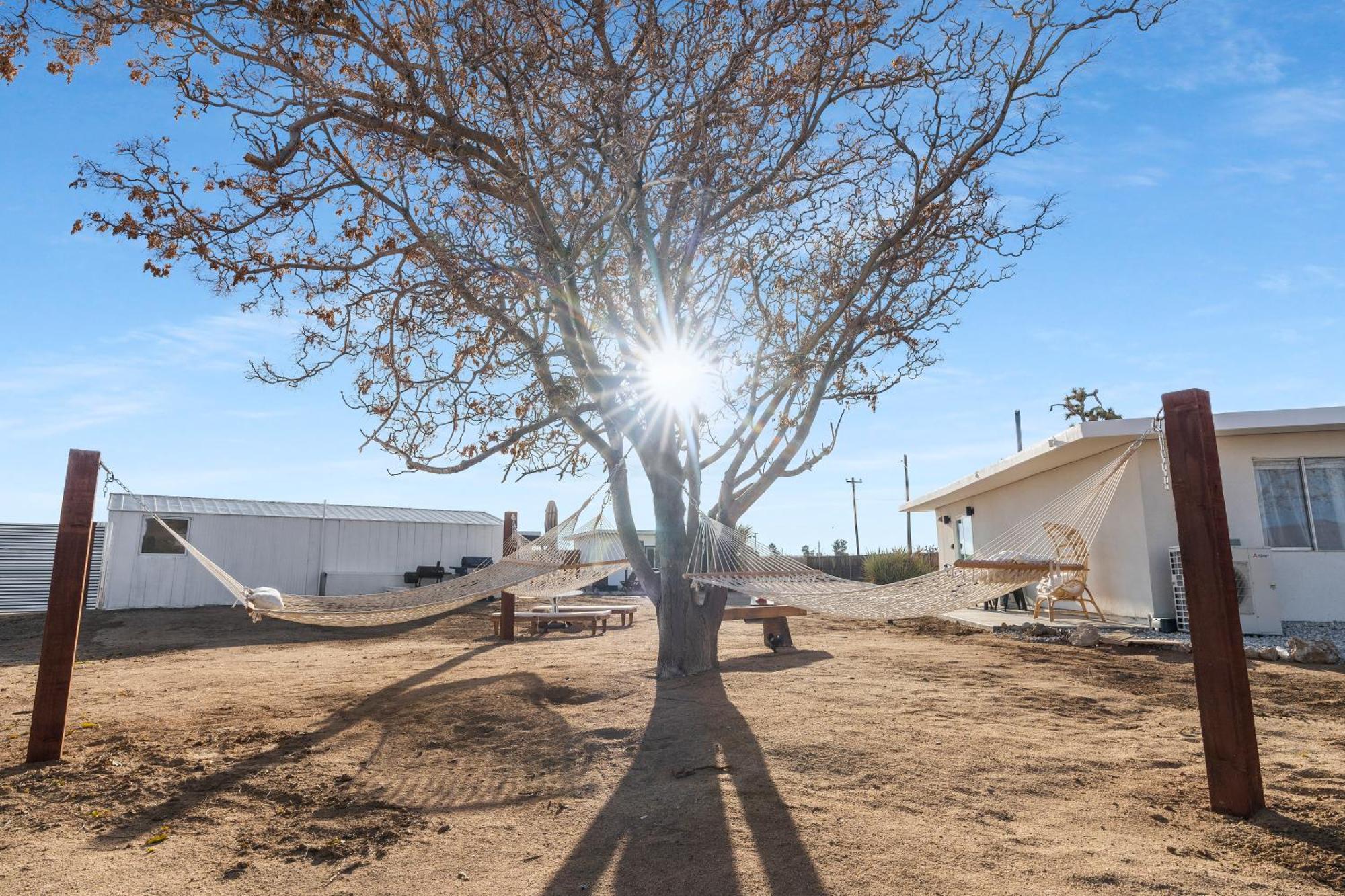 Private Jt Cabin - Ev L2 Station, Hammocks, Fire Pit, Bbq, Bocce Ball, Cornhole Yucca Valley Εξωτερικό φωτογραφία